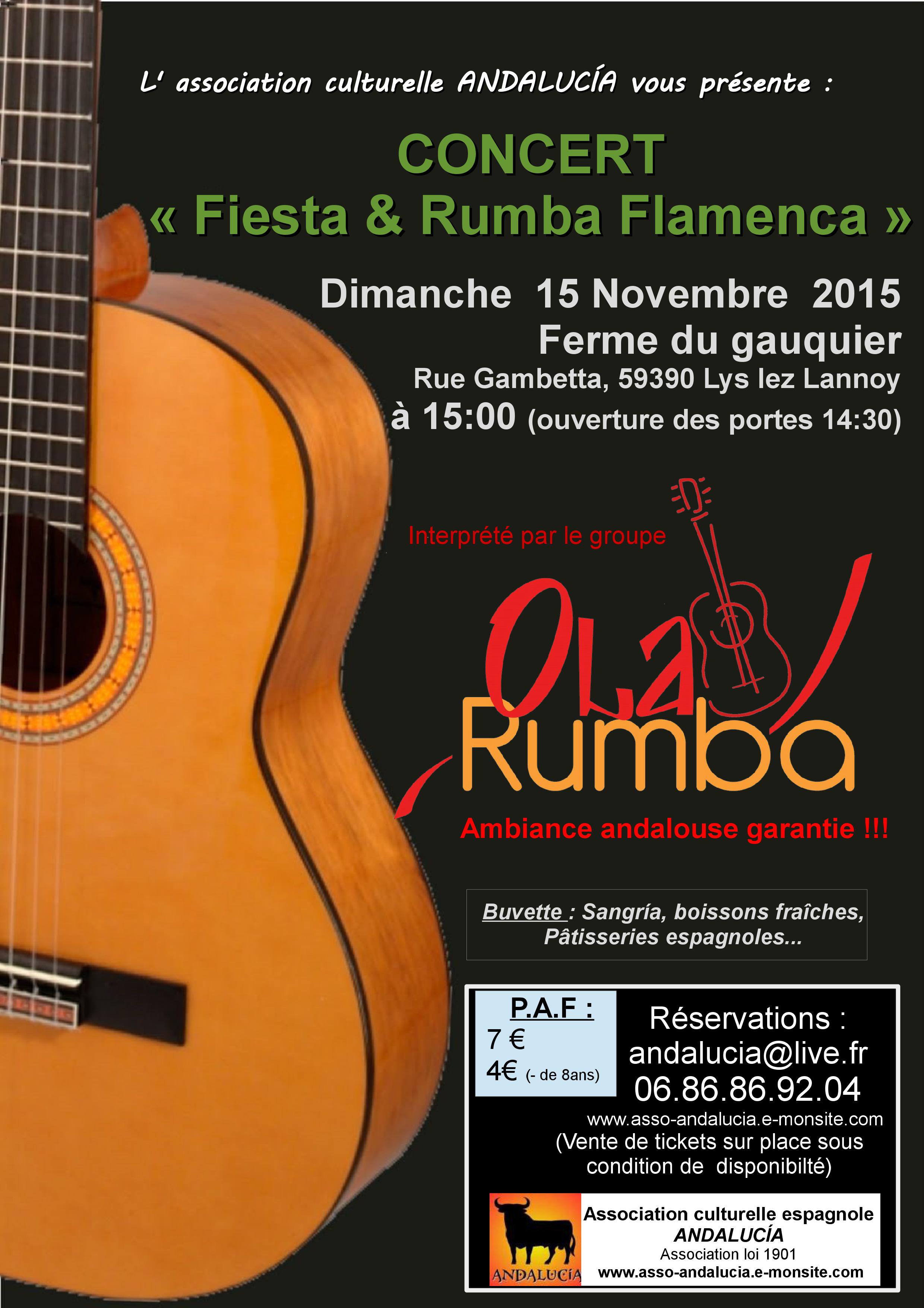 Fiesta y rumba flamenca